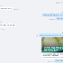 김제점SI씨 | 배추 검은점(깨씨무늬) 먹어도 될까? 알배추 검은 반점의 진실