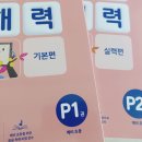 다독 스쿨 | 예비초1기적의독해력 실력편-길벗스쿨 홈스쿨링챌린저스1기