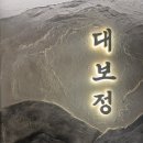 중로(보)2-3-1 | [시청역 소고기 맛집] 대보정 _'보'세트 이용후기