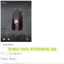 청담승무원학원