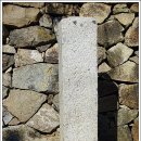 상만리 비자나무 이미지