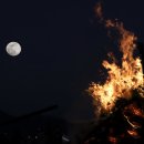 시흥시청.종합일자리센터 이미지