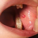 벚꽃로12길 | [임신일기#14] 피곤 + 울렁거림의 12주차 일상~ 😓 안정기 진입!