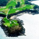 파인비치 이미지