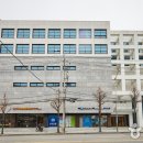 고려인삼판매