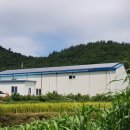 기후재앙생존보고서 - 재생에너지 (2) 공동체의 힘환경·수익 고민 담은 주민주도 햇빛발전