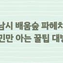 성남시 배움숲 파헤치기! 시민만 아는 꿀팁 대방출