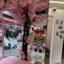 미소-가 | [서울/명동] 하이앵글로 인생샷을 남길 수 있는 명동 가볼만한곳 “미소포토부스“ 내돈내산 솔직후기