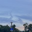 잃어버린것들을찾아서 이미지