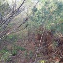 용성태양광발전소 이미지