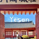 대흥초등학교 | 충남 예산 대흥동헌 예당호 근처 가볼만한곳 봄꽃 명소