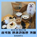 쉬고가개 | 인천 아시아드경기장 근처 애견동반 심곡동카페 미리네하우스
