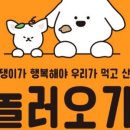 놀러오개 이미지