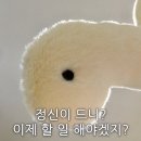 로터스하우스