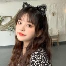 고양이 유치원 이미지