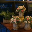 제이블리 이미지