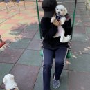 이디야커피어양동점 | 5.25 - 5.26 일상