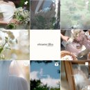 라이프모티브 | W13. 본식DVD 화이트모티브 계약후기(+올리에스터 필름, 라이프타임)