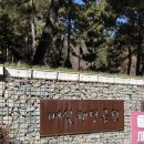 영자네돼지국밥 | 대구 이곡동 육회비빔밥 맛집 ‘영자네맛집’ 솔직후기