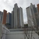 동백에이스의원 이미지