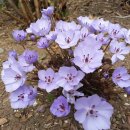 바위섬펜션 이미지