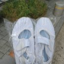 화니세탁소 이미지