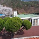 청도강변돌고래펜션 이미지