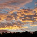 열매농장 이미지