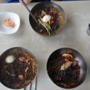 도그베이 이미지