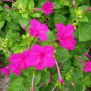 강동로7-80 이미지