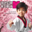 인더짐 유아 태권도 이미지