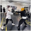 퍼블릭 복싱 이미지