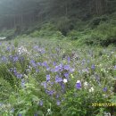 혜원민박 이미지