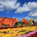 횡성한우프라자 우천점 이미지