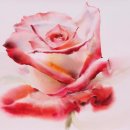 수채화, 배워볼까? 이미지