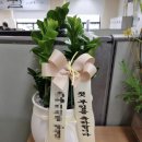 아그란스