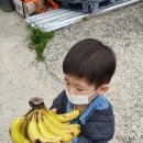 양남농장 이미지