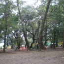 금관1리 이미지