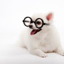 웰튼동물의료센터 이미지