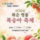 화순군, '제16회 화순 명품 복숭아 축제' 25~26일 개최 이미지