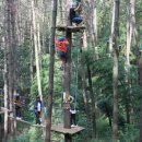 맹종죽테마공원 이미지