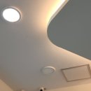 강남메디컬동물병원 네이버블로그