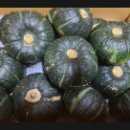 숙이네농장 이미지