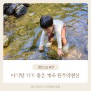 장용산원두막슈퍼 | 아기랑 대전 근교 옥천 계곡 원두막펜션 다녀온 후기