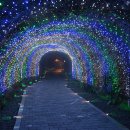 광명동굴 이미지