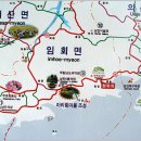 임회주유소 Daum카페