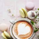 혼담결혼 이미지