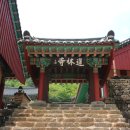 도림사오토캠핑리조트 이미지