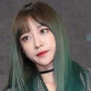 오늘 염색 Daum카페