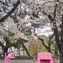 숭혜전 소공원 화장실 이미지